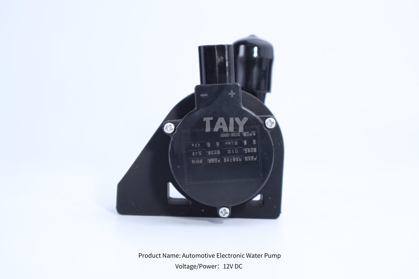 Automotive Electronic Water Pump